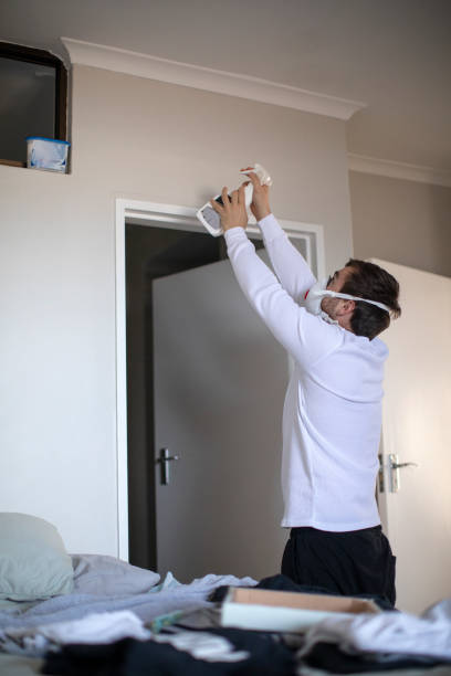 Best Dehumidification Services  in Prescott, AZ