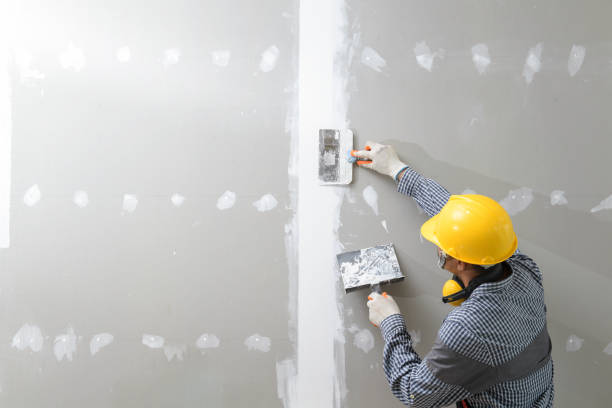 Best Asbestos and Lead Testing During Mold Inspection  in Prescott, AZ