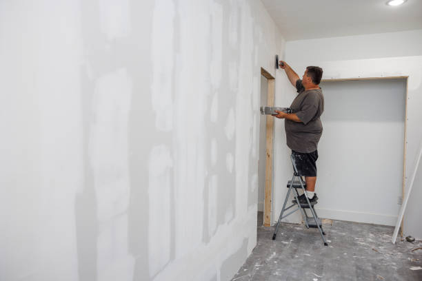 Best Mold Damage Restoration  in Prescott, AZ