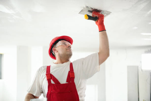 Best Crawl Space Mold Remediation  in Prescott, AZ
